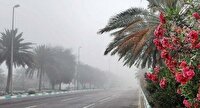 غبار محلی و وزش باد پدیده غالب جوی استان بوشهر