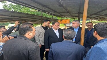 بازدید وزیر میراث فرهنگی از دیوار تمیشه سرکلاته خرابشهر
