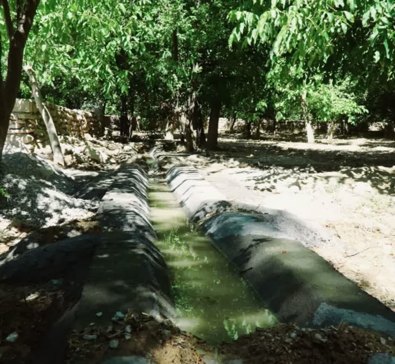 آغاز عملیات اجرایی ۵۲ طرح کشاورزی در خراسان شمالی آغاز عملیات اجرایی ۵۲ طرح کشاورزی در خراسان شمالی