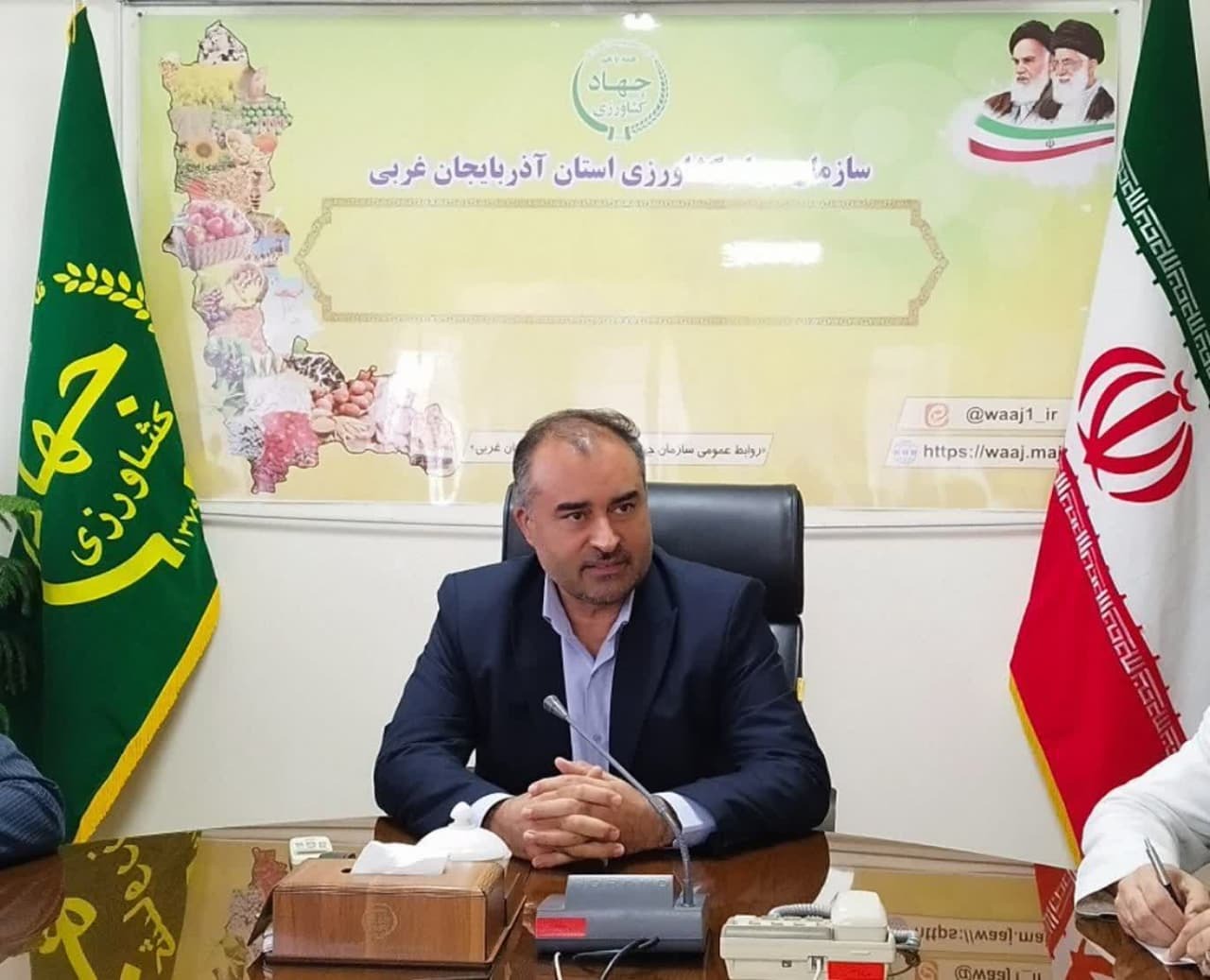 آغاز برداشت گوجه فرنگی از مزارع آذربایجان غربی