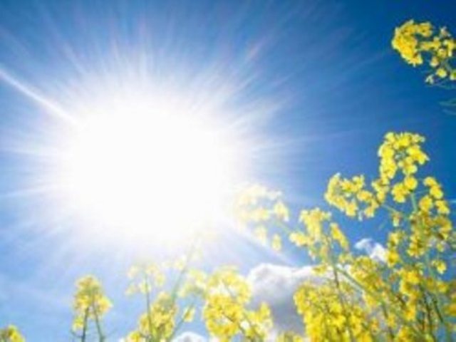 تداوم هوای گرم در مازندران/ رگبار‌های پراکنده در ارتفاعات