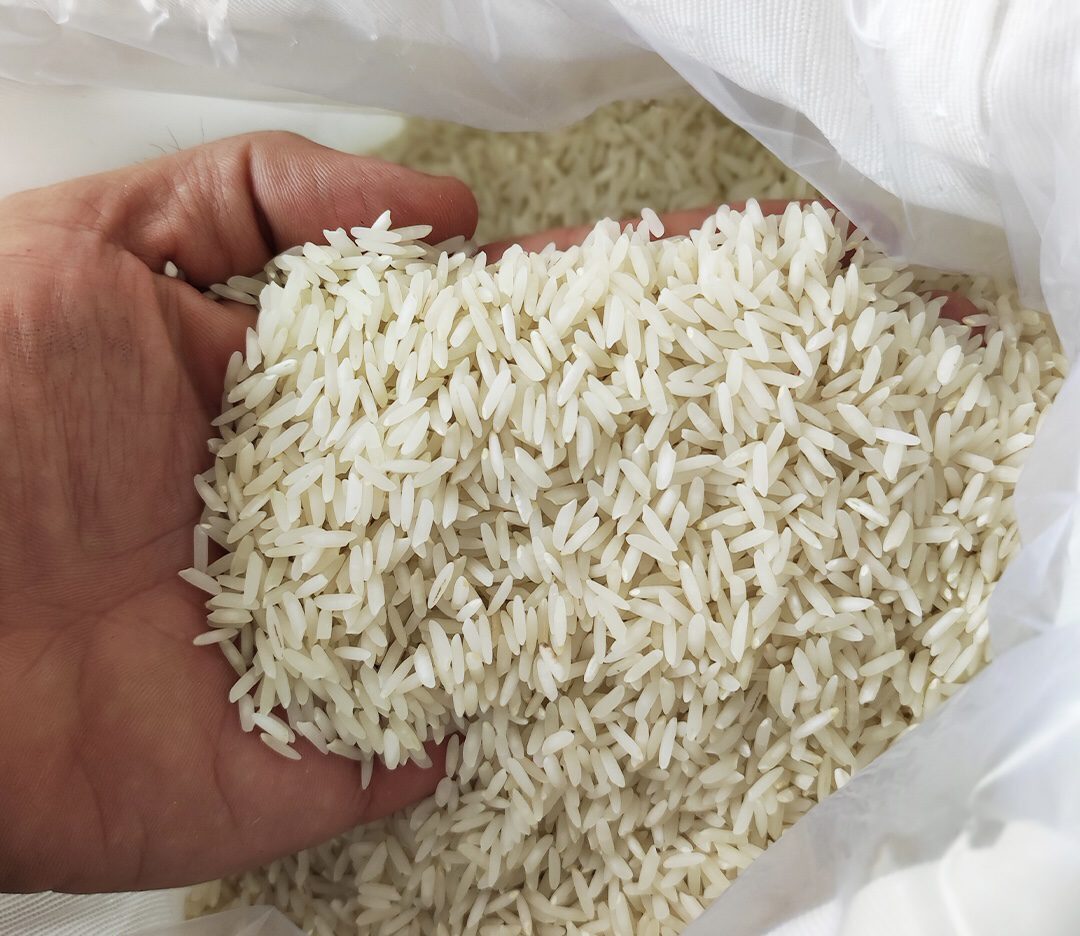 **علت گرانی برنج؛  خشکسالی است