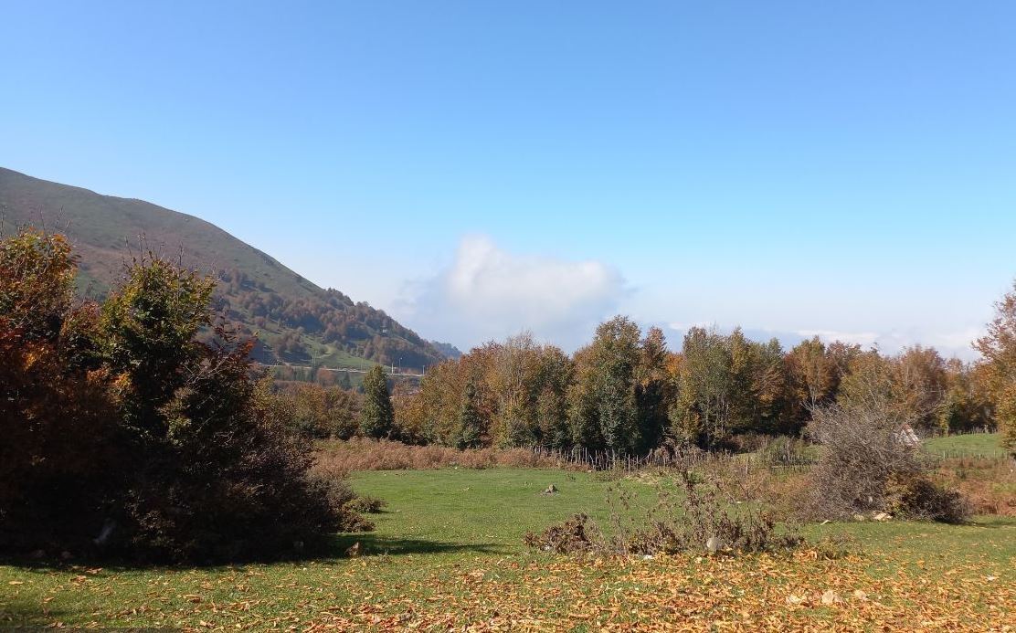 آسمان پاییزی گیلان پایدار شد