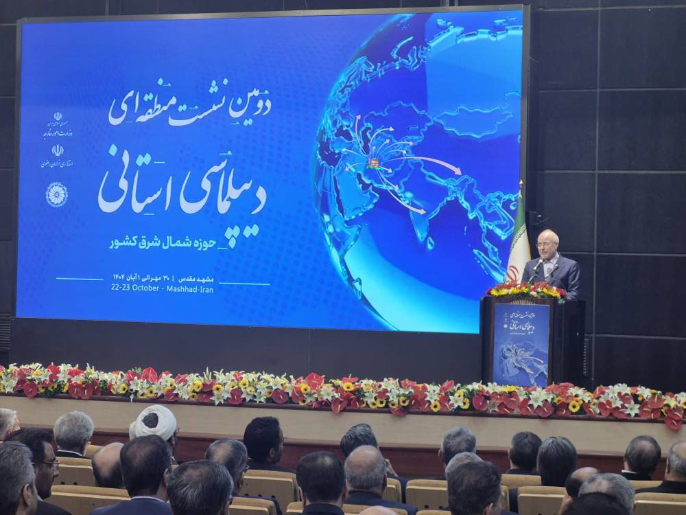 استان ها باید به متن سیاست گذاری وارد شوند