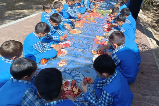 جشنواره انار در دبستان علم و ادب مهریز جشنواره انار در دبستان علم و ادب مهریز