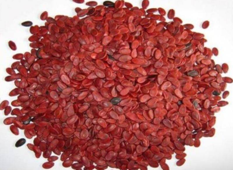 تولید ۳۰۰ تن تخمه هندوانه آجیلی در شهرستان خوشاب