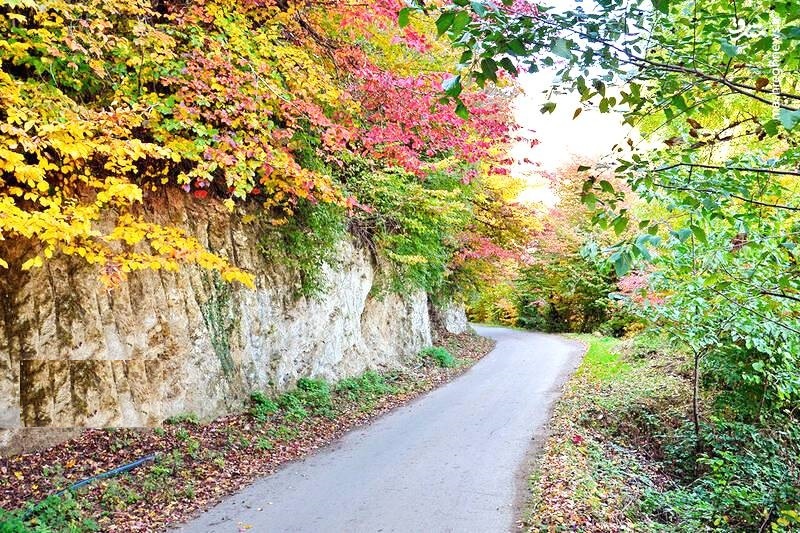 آسمان پاییز گیلان همچنان آفتابی