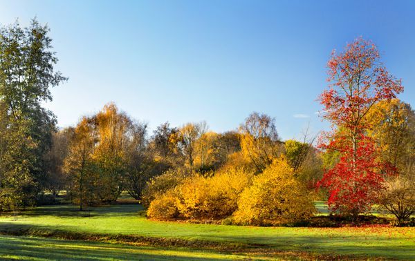 تداوم پایداری هوای گیلان تا فردا تداوم پایداری هوای گیلان تا فردا