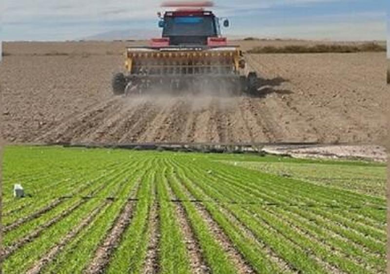 آغاز کشت گندم در اراضی کشاورزی سوادکوه شمالی آغاز کشت گندم در اراضی کشاورزی سوادکوه شمالی