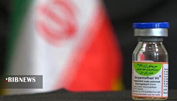 تولید پادزهر سیه مار