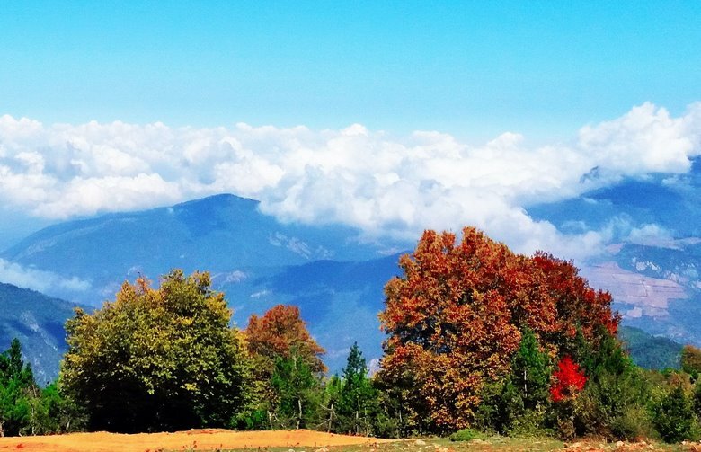 پایداری موقتی هوا و شروع بارش باران از اواخر وقت فردا پایداری موقتی هوا و شروع بارش باران از اواخر وقت فردا