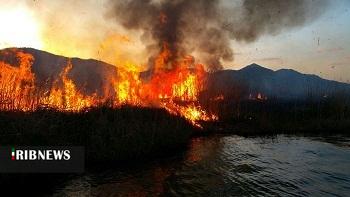 مهار آتشسوزی در نیزارهای تالاب زریبار مهار آتشسوزی در نیزارهای تالاب زریبار