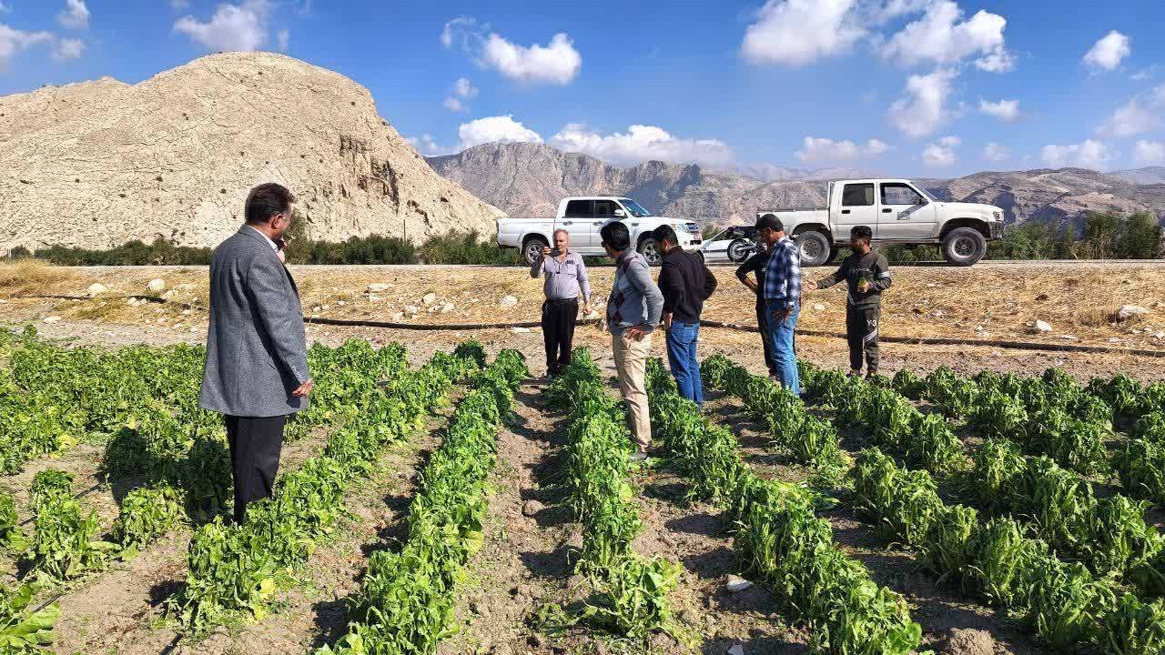 هشدار طبیعت به کشاورزان کازرون