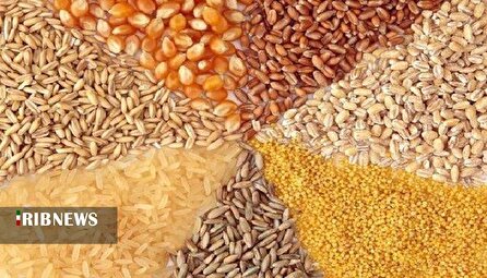 خوراک دام در گرو سودجویی یک شبکه محدود