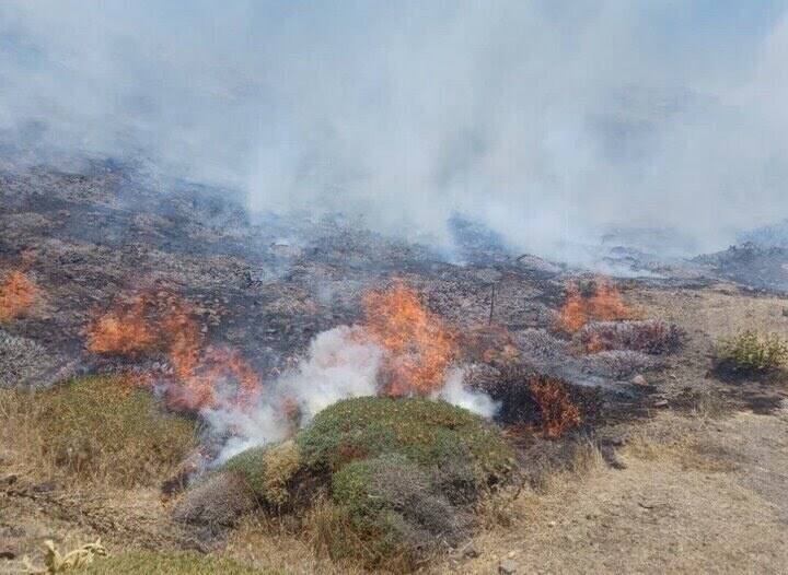 کنترل گسترش حریق در جنگل ابر شاهرود