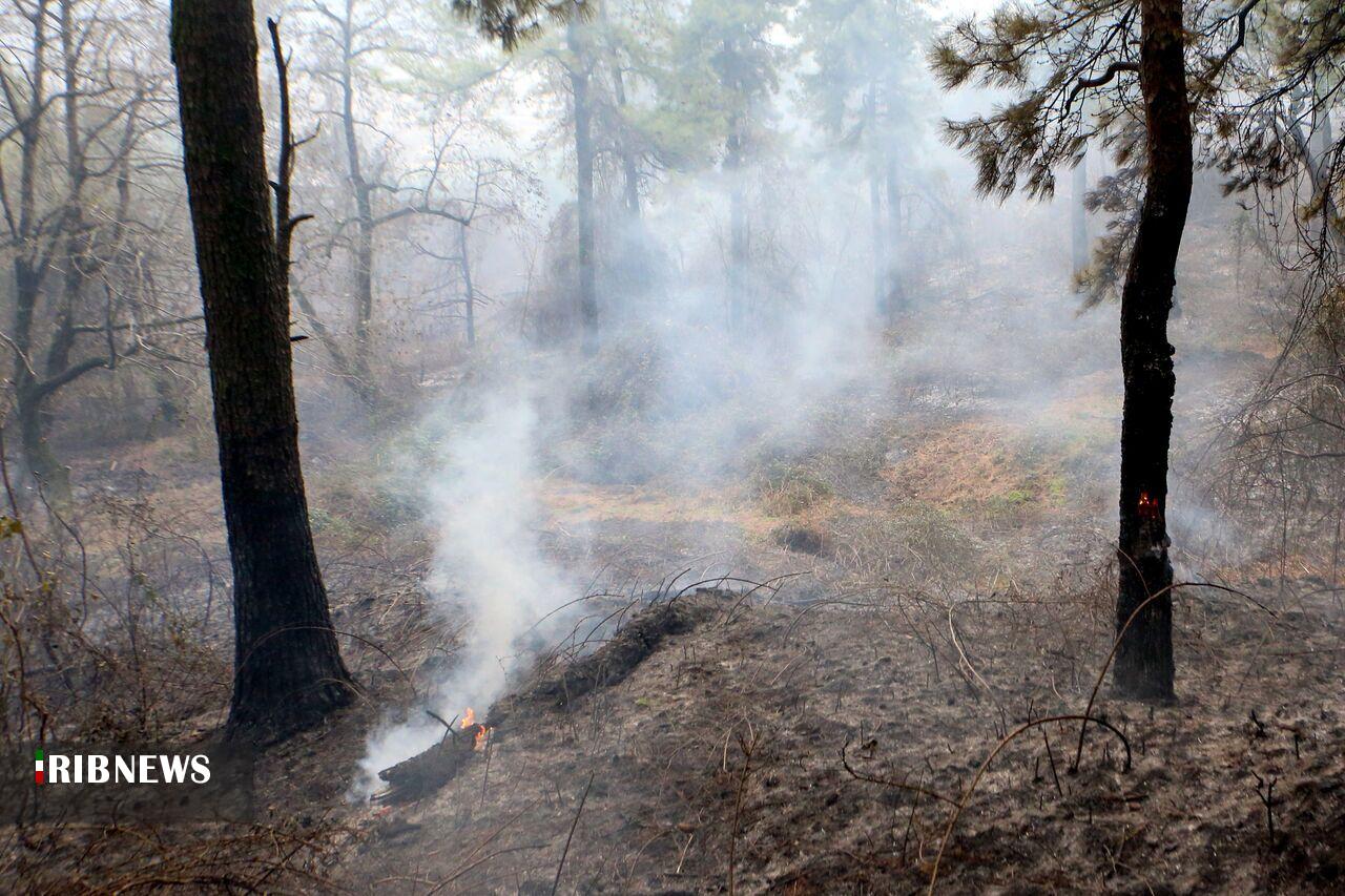 ادامه عملیات مهار آتش در جنگلهای آذربایجان شرقی و گلستان