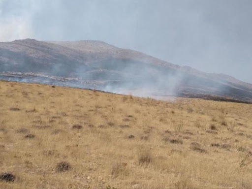 مهار آتشسوزی در مراتع روستای چراغتپه تکاب مهار آتشسوزی در مراتع روستای چراغتپه تکاب