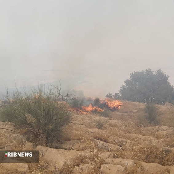 مهار آتش سوزی در ارتفاعات خائیز کهگیلویه